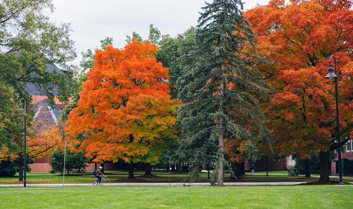 Green and orange colored trees on Gettysburg College campus, with a student cycling from afar.