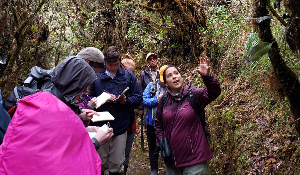 Professor Alex Trillo and her students visit Manu National Park in the Peruvian Amazon