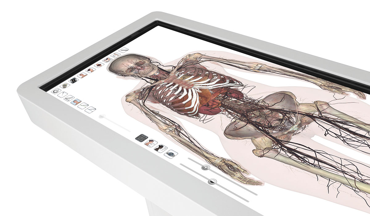 9 facts about Gettysburg’s new virtual dissection tables