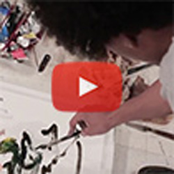  VIDEO: Every painting is a conversation, says David Rampersad ’17