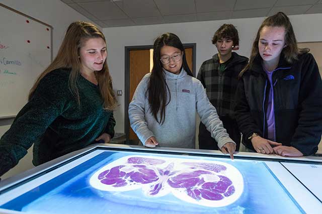 Students using anatomage table