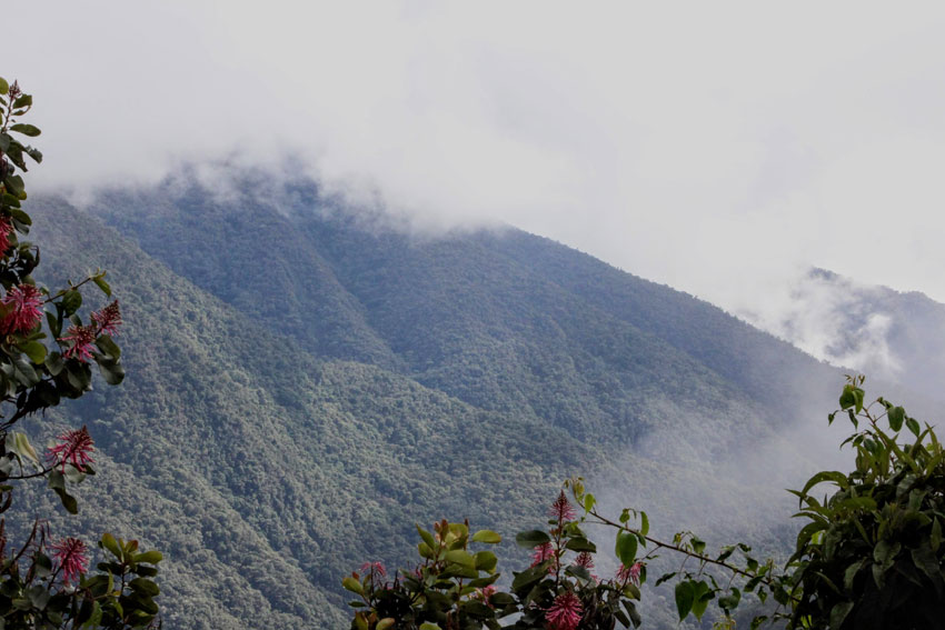 Mountains in the Amazon rainforest