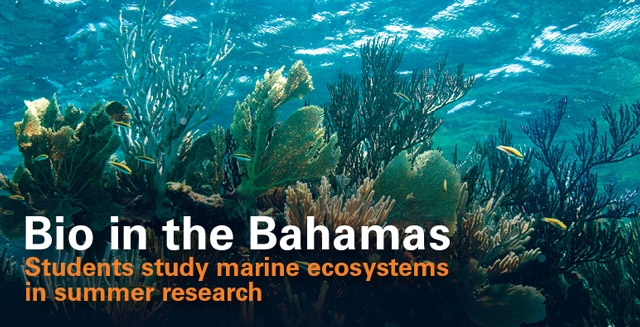 Bio in the Bahamas