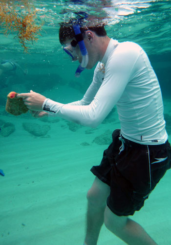 Student examines a queen conch shell