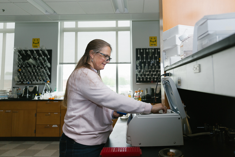 Prof. Lipsett in the lab