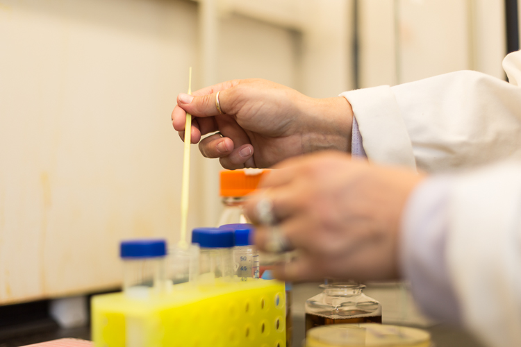 Prof. Koren Lipsett working in the lab