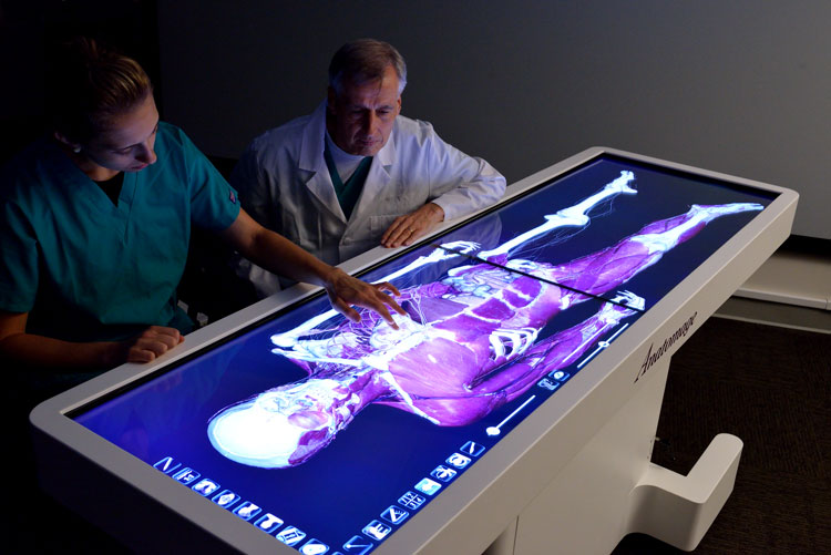 Anatomage table