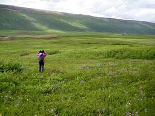 Marion in Iceland