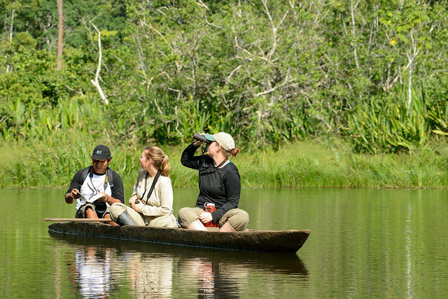 Research in the Amazon