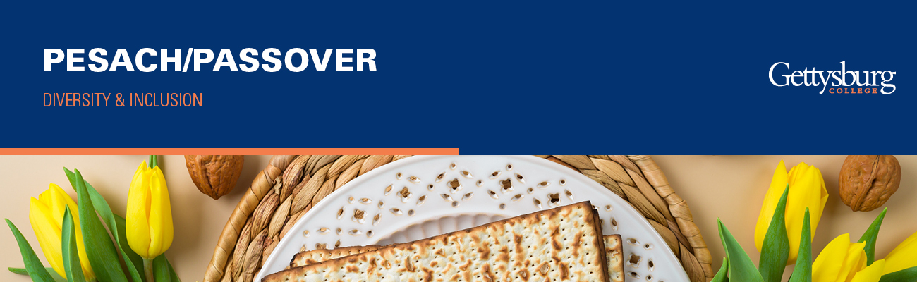 Pesach Passover Banner