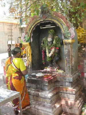 Woman in a colourful sari praying before a flower-garlanded Hindu shrine beneath