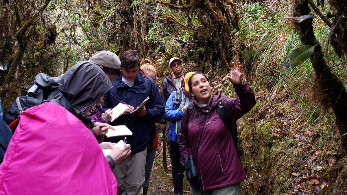 Students visiting the amazon rainforest