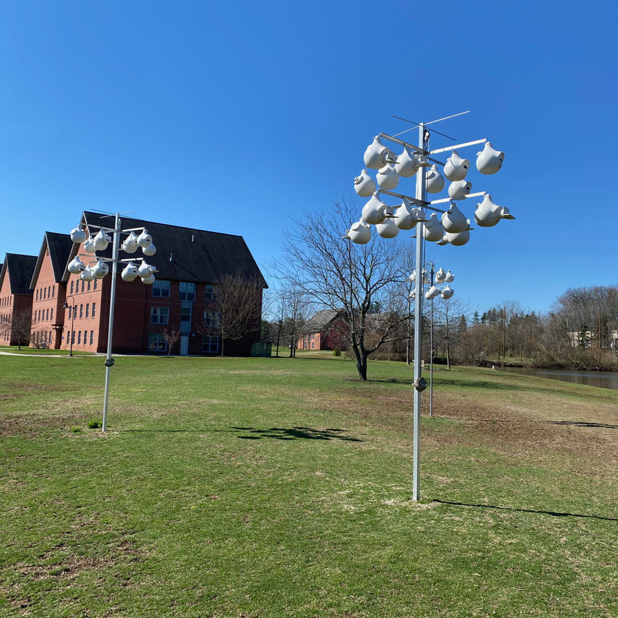 Bird houses that are part of the purple martin colony