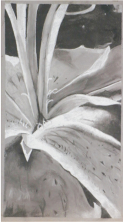 Grey painting of a flower