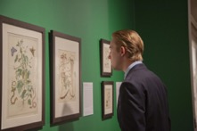 Student looking at an image of a plant in the Scmucker Art Gallery