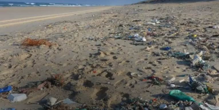 Plastic-polluted sea shore