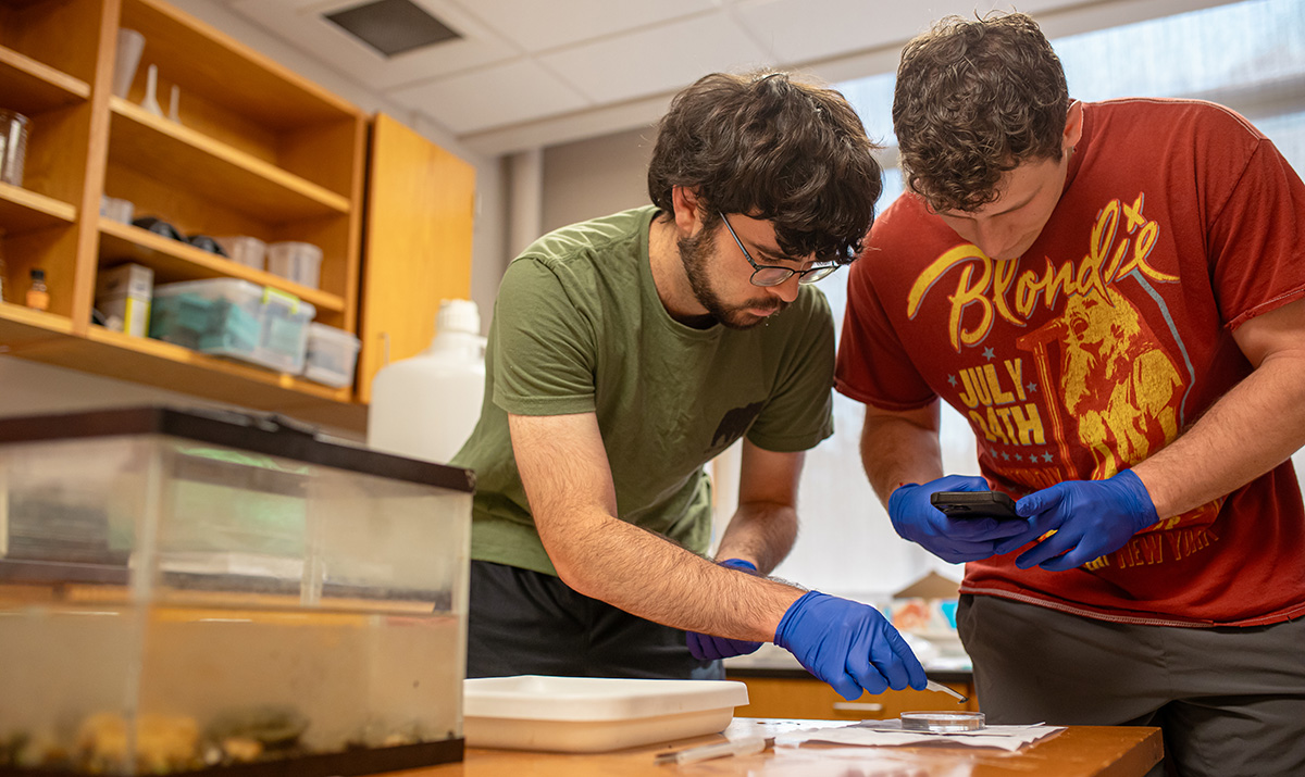 Two students working