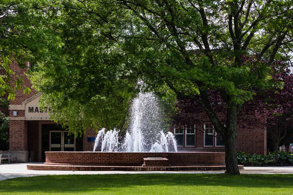 fountain and summer foliage