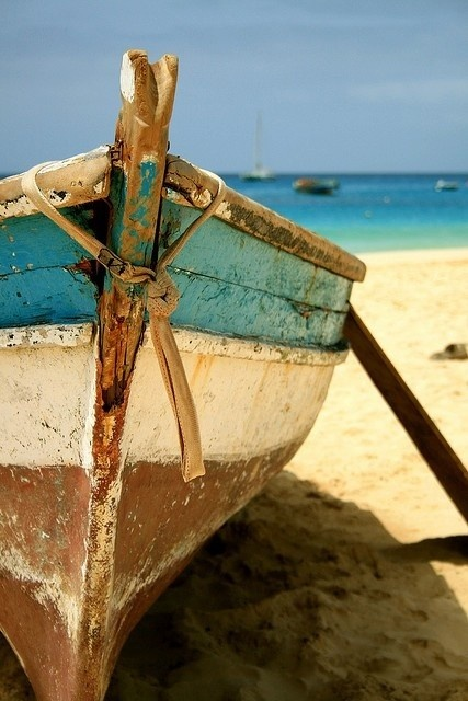 A boat on a beach