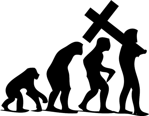 A representation of apes to human evolution