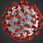 Image of the coronavirus with color added