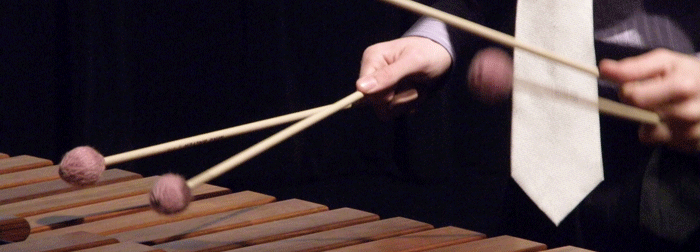 Percussion Closeup