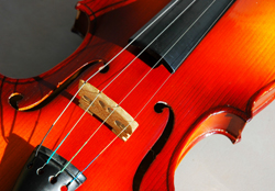 Violin