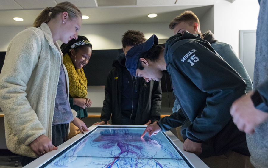 Students looking down at an anatomage table displaying a dissected human body