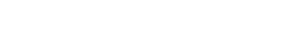 The Walt Disney Company Logo