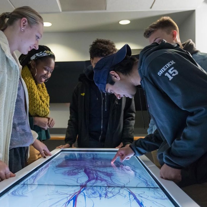 Students looking down at an anatomage table displaying a dissected human body