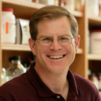 Listen to Episode 12 ‘The biology and genetics of COVID-19’