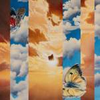 Beauty in the brushstrokes: Sarah Jacobs ’06 invites inquiry through art