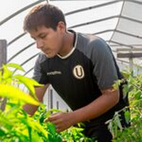 Gettysburg College earns Carnegie Elective Classification for Community Engagement