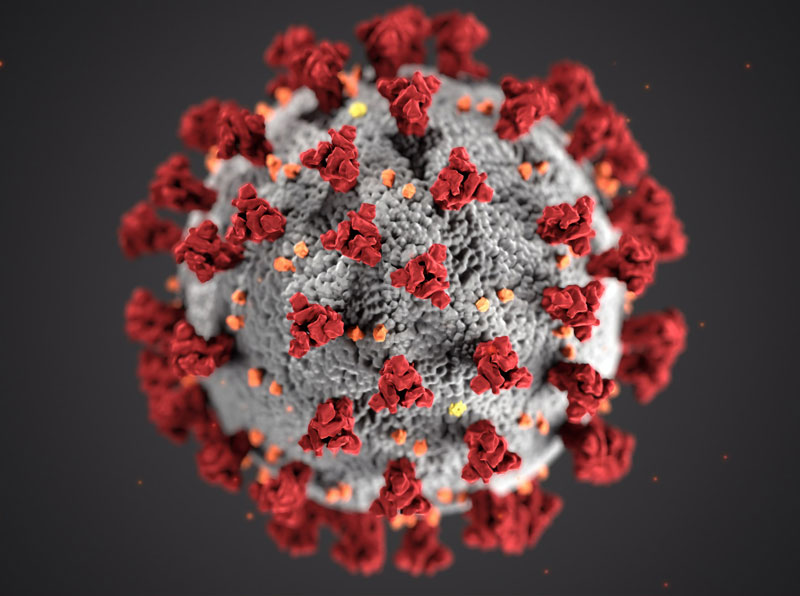 SARS-CoV-2 (coronavirus) particle which produces the COVID-19 disease