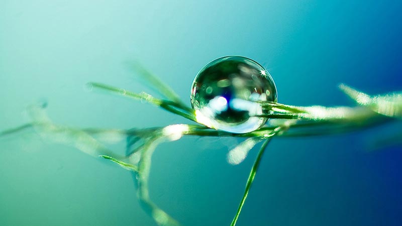 Wellbeing: Mind, Body, Spirit