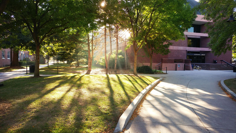 Virtual co-curricular programs and events