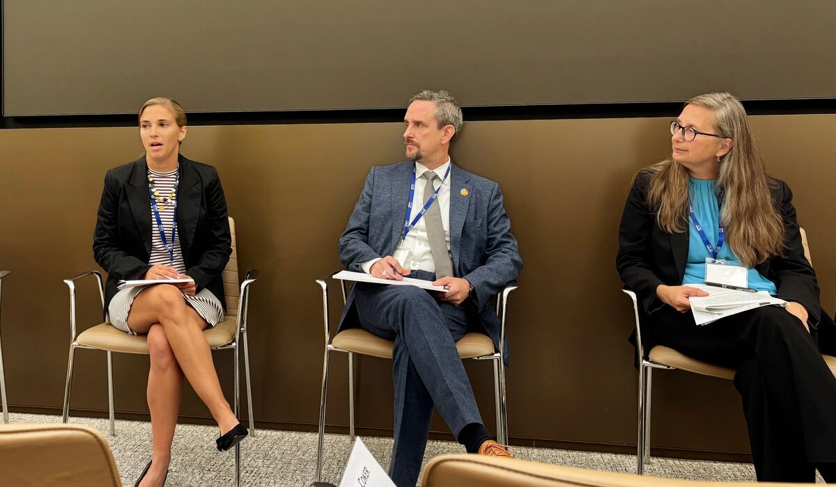 Prof. Megan Benka-Coker ’09 addresses United Nations panel on clean cooking