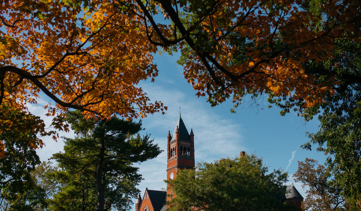 Four professors appointed to new endowed chair and professorship positions this fall