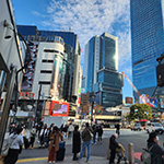  Sophie Nasir '25, Orazio Thomas '25 explore Japanese culture through transformative global study