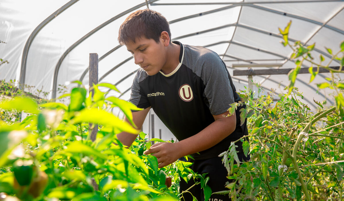 Gettysburg College earns Carnegie Elective Classification for Community Engagement