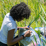 New Guided Pathways Fund to support experiential learning