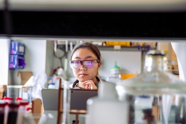 Six Exciting Careers for Public Health Policy Majors