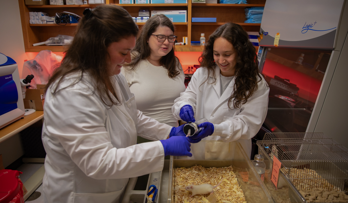 Faculty Spotlight: Health Sciences Prof. Victoria Wolf