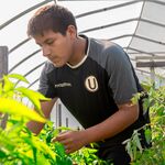 Gettysburg College earns Carnegie Elective Classification for Community Engagement