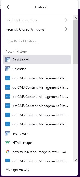 Firefox History Menu
