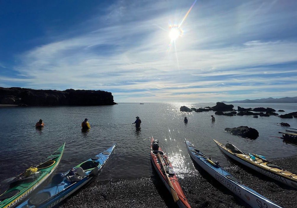 A group of people embark on a kayaking adventure under the bright sun