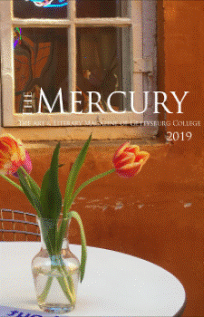 mercury literary magazine