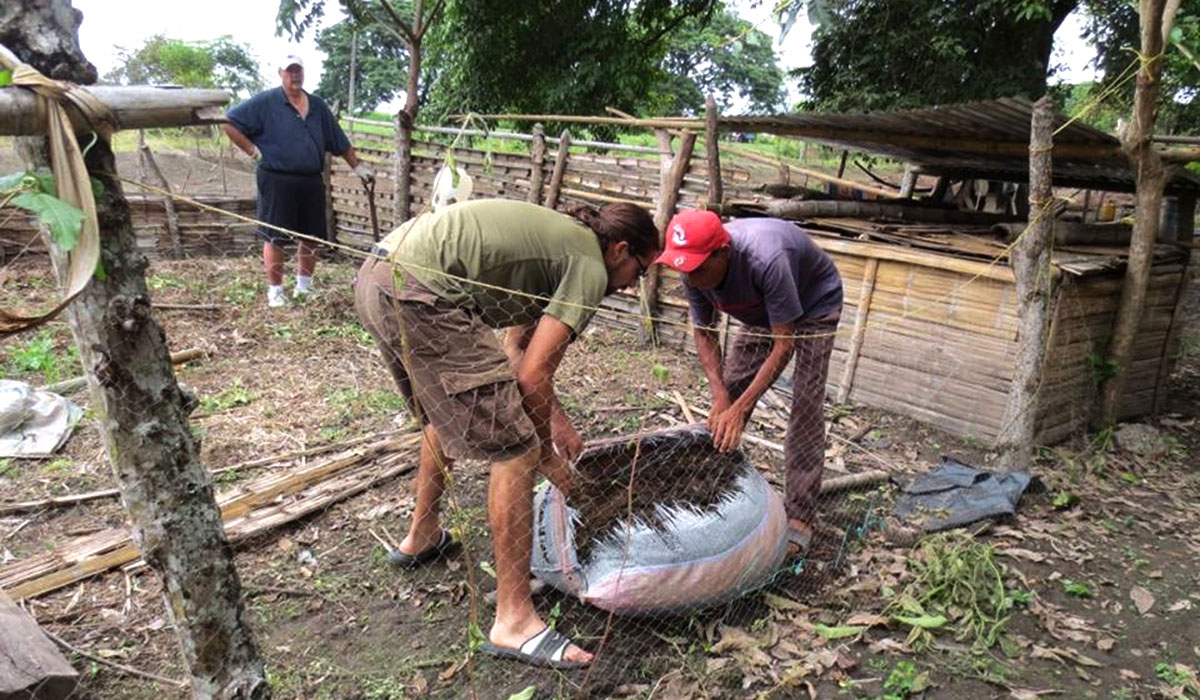 Paul Rule constructing a garden bed in Ecuador