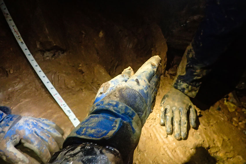 Specimen on glove in cave