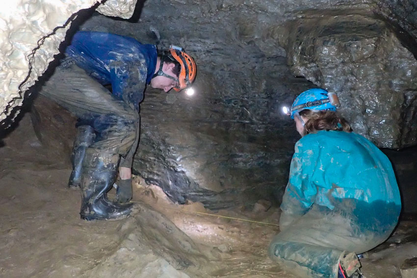 Specimen on glove in cave